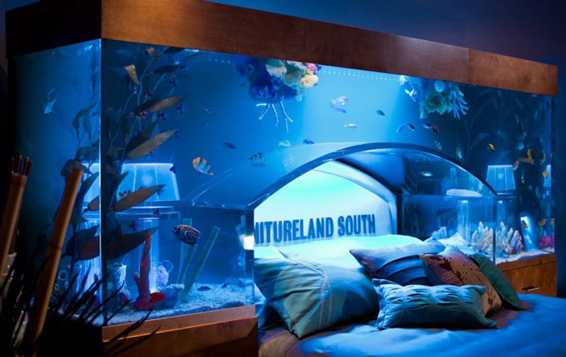 sleeping with fish bedroom ideas