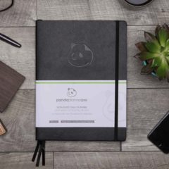 Panda Planner Pro Review – Best Daily Planner for Happiness & Productivity